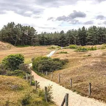 Dunes du Mont Saint-Frieux