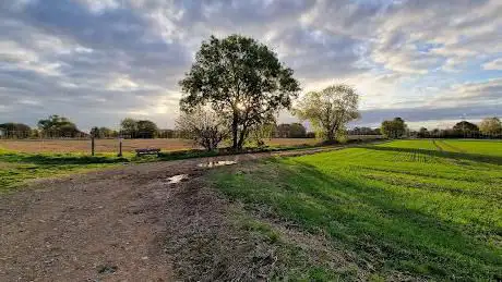 Picnic Area