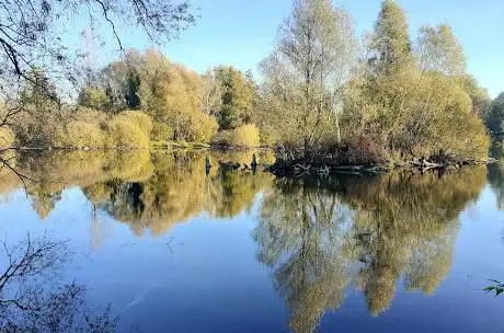 Marais de fretin