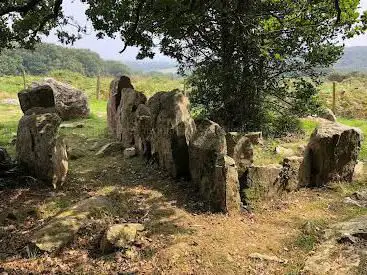 Bois de la Plesse gallery grave