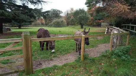 Staunton Farm