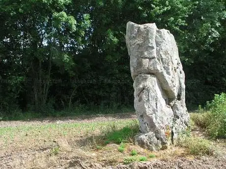 Menhir la Pierre au Coq