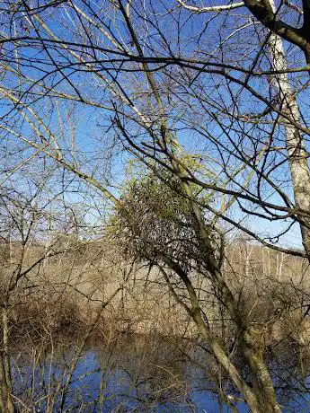 Le Marais de Larchant