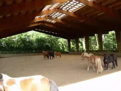 CÉA - Club Equestre d'Antony