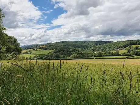 Crews Hill Wood Nature Reserve