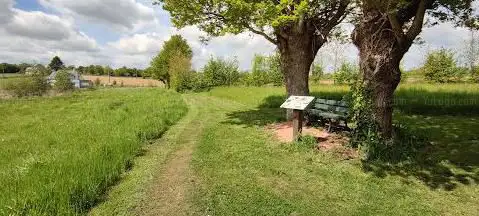 Zone humide les sources du lavoir