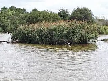 Cabane ornithologique