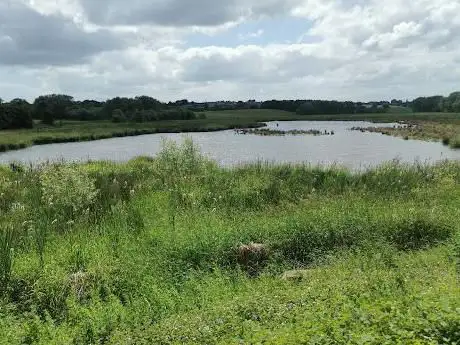 RSPB - Edderthorpe Flash