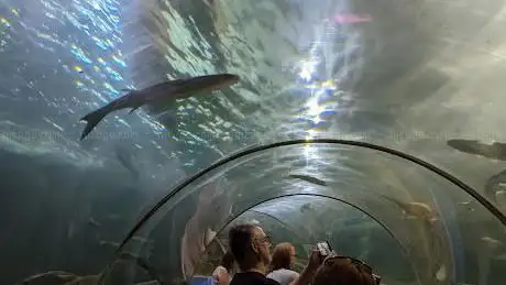 SeaQuarium Rhyl