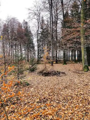 Les sources de l'Aisne