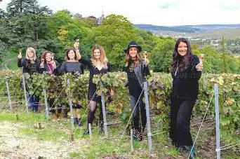 Instants - Exclusive Champagne Tours