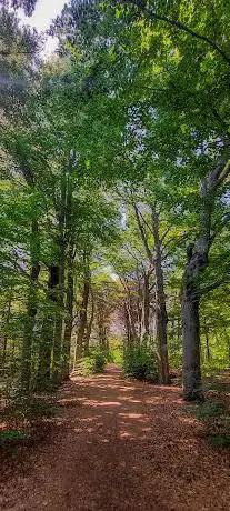 Theekoepel  landgoed de Oude Buisse heide