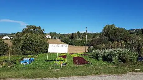 JARDIN POTAGER en SELF-SERVICE