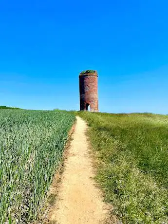 Calcot Dovecot