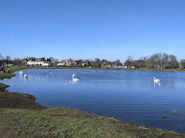 Wimbledon and Putney Commons