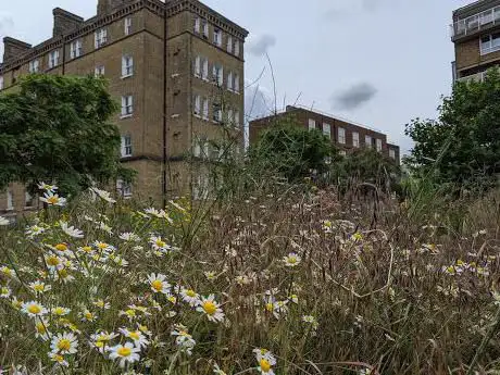 EastendHomes Elf Green Garden