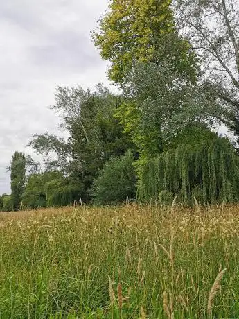 Brook Meadow Nature Reserve