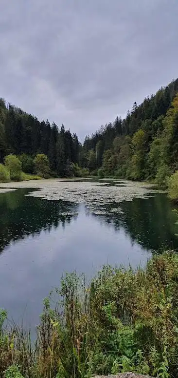 Etang de Bollement