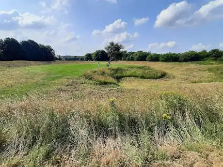 Bullring Ancient Henge