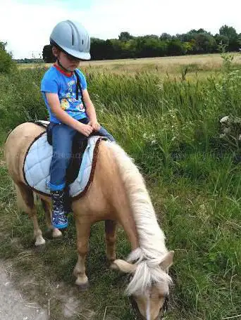 Pony Club Marquenterre