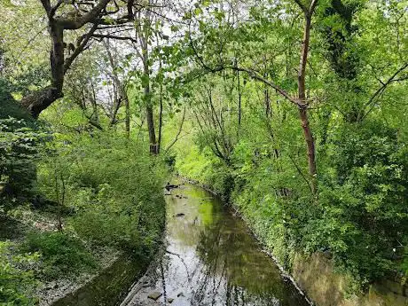 Gore Brook