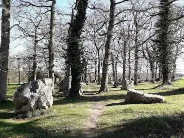 Alignement de mégalithes Cimetière des druides