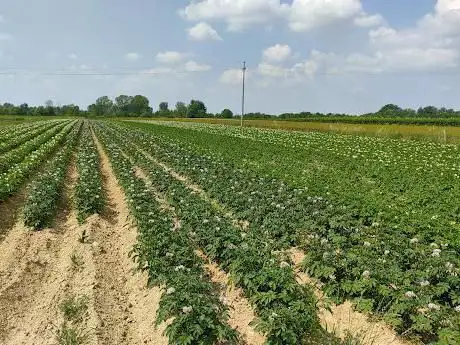 Azienda Agricola Santarossa Franco e figli