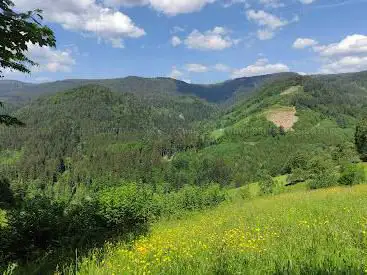 Aussichtsplattform Allerheiligen Rundweg