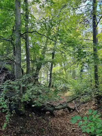 Ruine Madeln