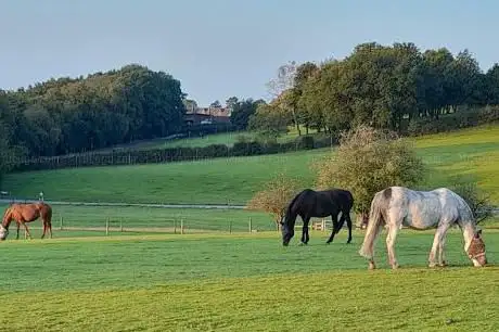 Court Bank Farm