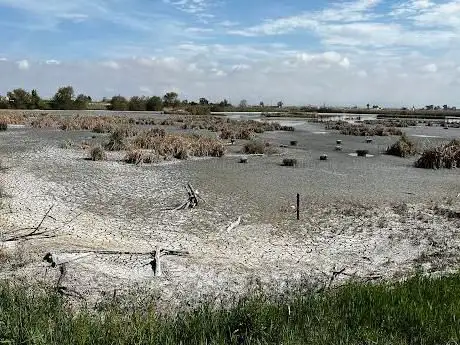 Reserva Natural Riet Vell