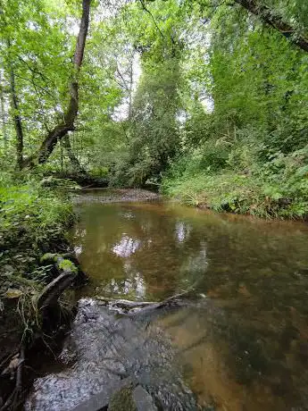 Swettenham Meadows Nature Reserve