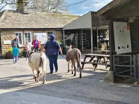 Chatsworth Farmyard & Adventure Playground