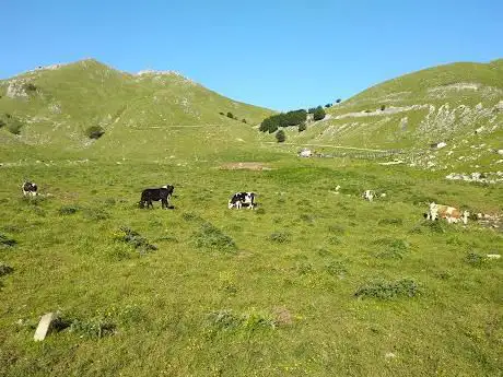 Sorgente Capo d'Acqua