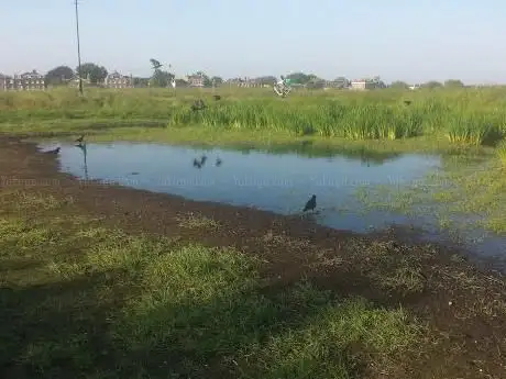 Mounts Pond