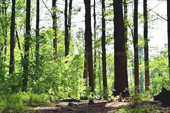 Caratunk Wildlife Refuge - Audubon Society of RI