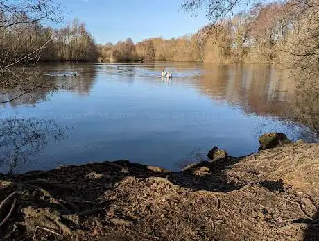 Steetley Meadows