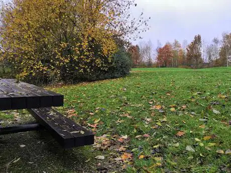 Picnic Table