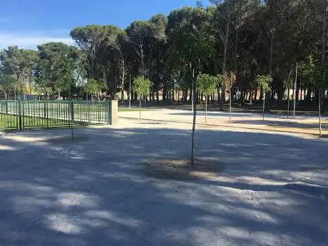 Nuevo Park