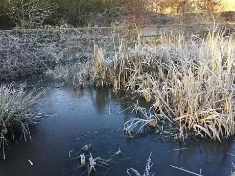 Pond and Rotary Centennial Wildlife Area