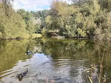 Schalkscher Teich