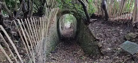 Robin Hood Arch