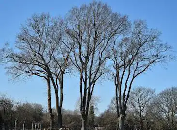 La Ferme des Trois Chênes