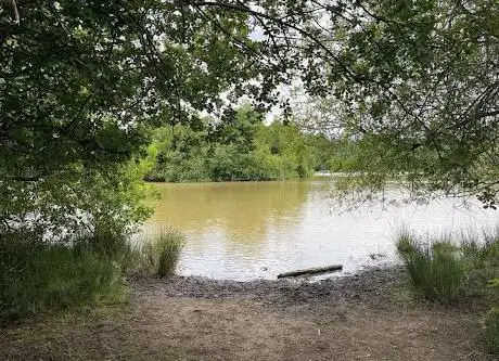 Woorgreens Lake and Marsh