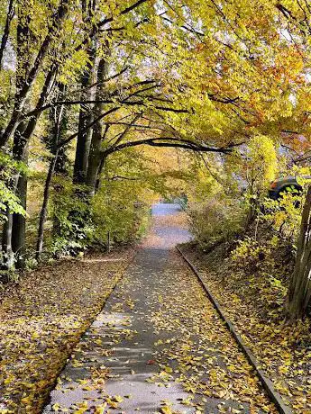 Rastplatz am Wanderweg