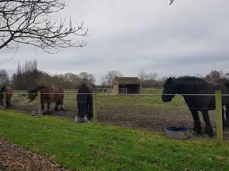 Bart Ceulemans Tuinwerken BVBA