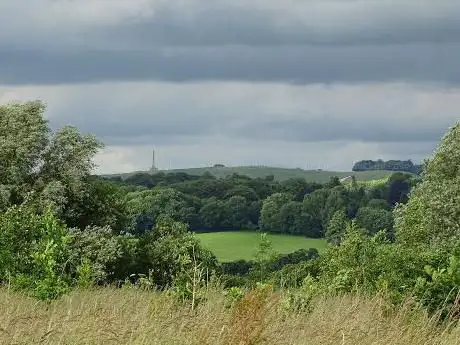 Penn Wood - Wiltshire Wildlife Trust