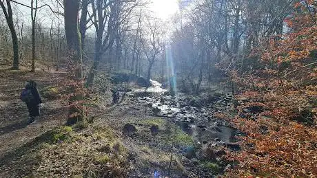 Roddlesworth Waterfall