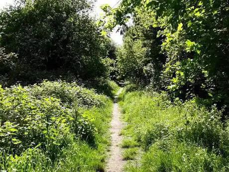 Baginton Fields Nature reserve.