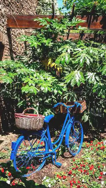 les jardins de pabirans